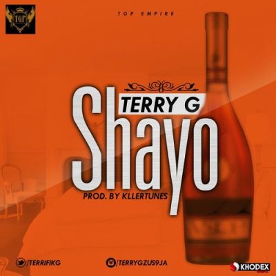 Terry G – Shayo - GIDIBASE