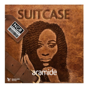 aramide_suitcase_cover_final-gidibase